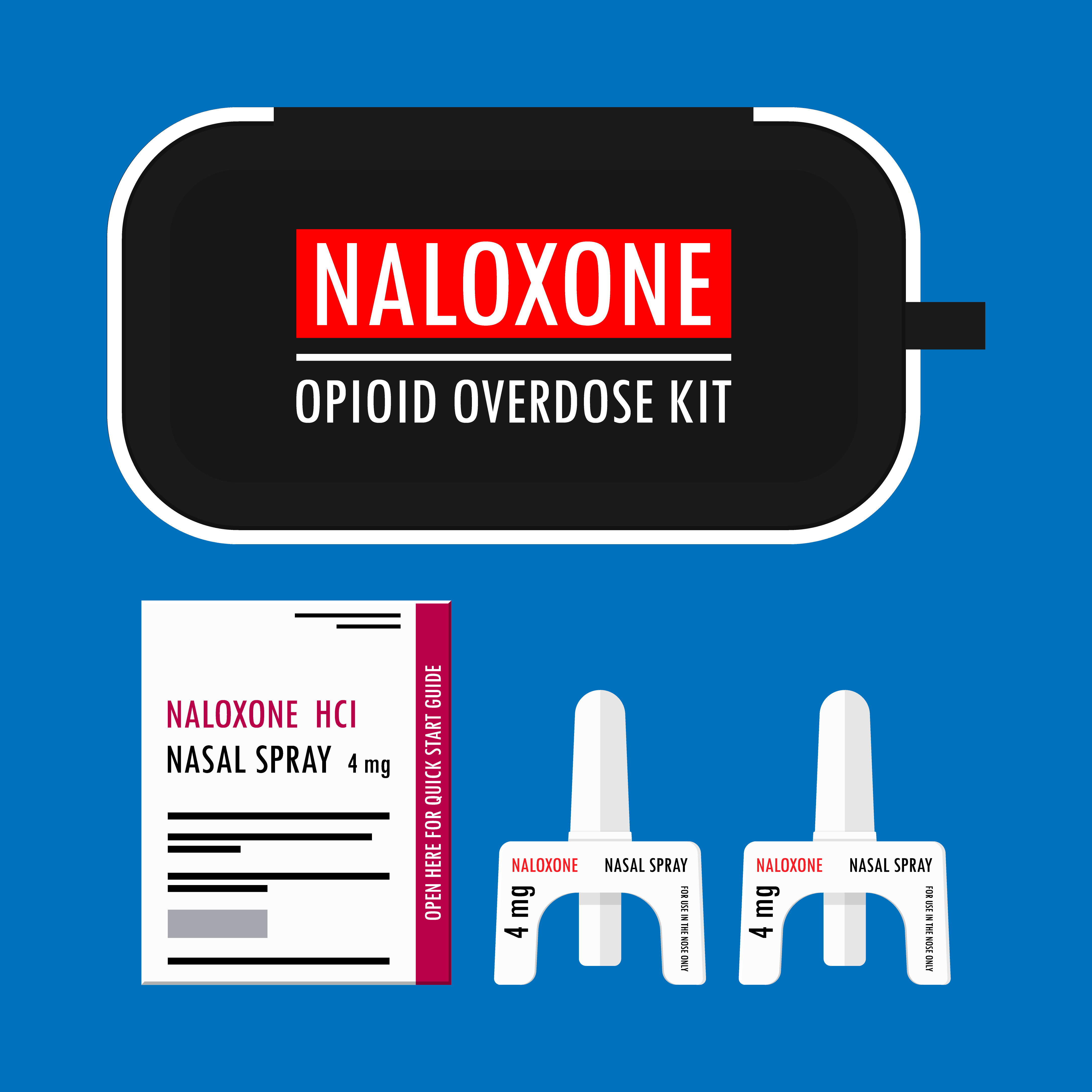 Naloxone Kit with two nasal spay